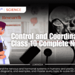 "Illustration of a doctor explaining the human nervous system and control and coordination, for Class 10 Biology notes