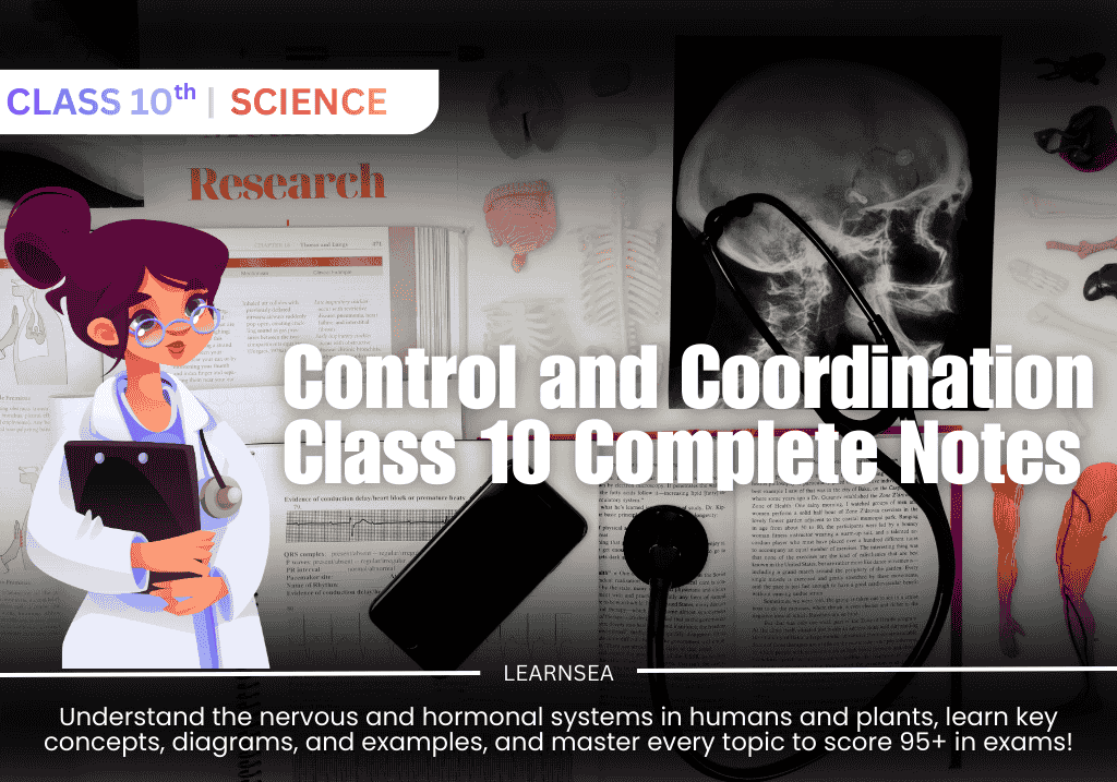 "Illustration of a doctor explaining the human nervous system and control and coordination, for Class 10 Biology notes