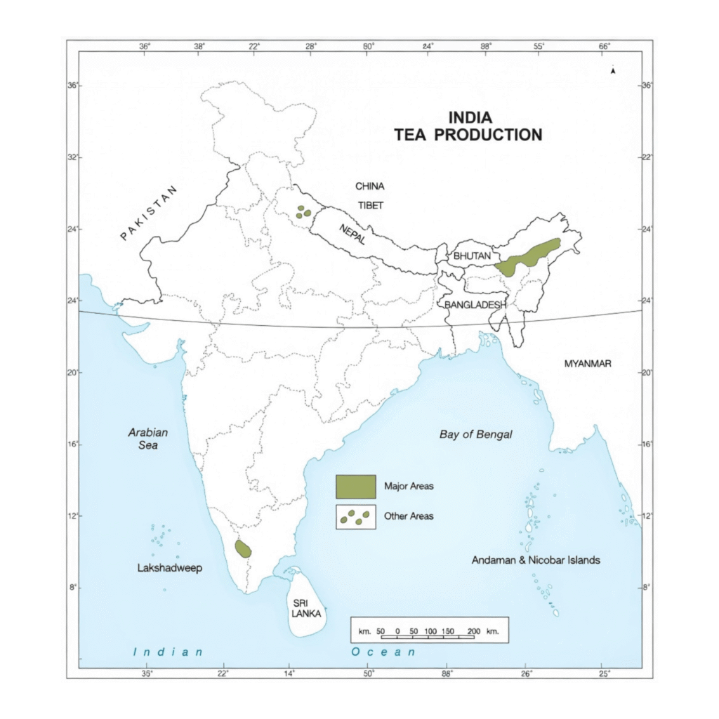 Tea Producing States in India