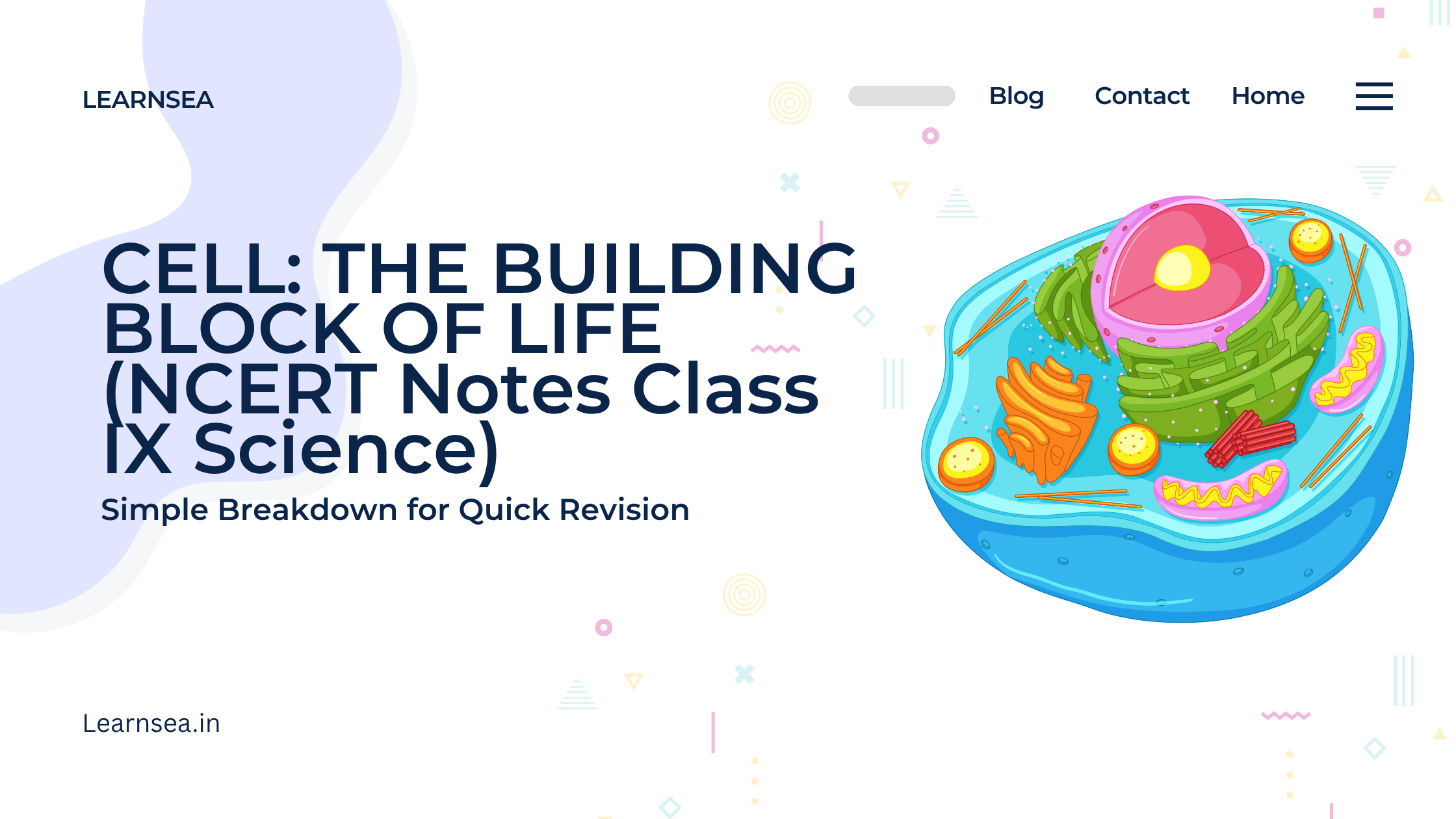 The cell is the basic structural and functional unit of life Banner for Learnsea.in